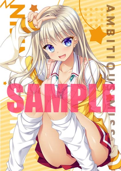 AMBITIOUS MISSION ソフマップ購入特典 Amazon.co.jp: AMBITIOUS MISSION ソフマップ 特典 オリジナルB2